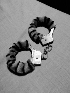 Może się zabawimy tygrysku? 