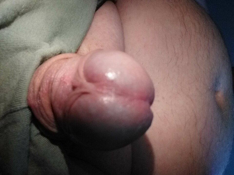 2020-08-06_18.08.05.jpg - robercu