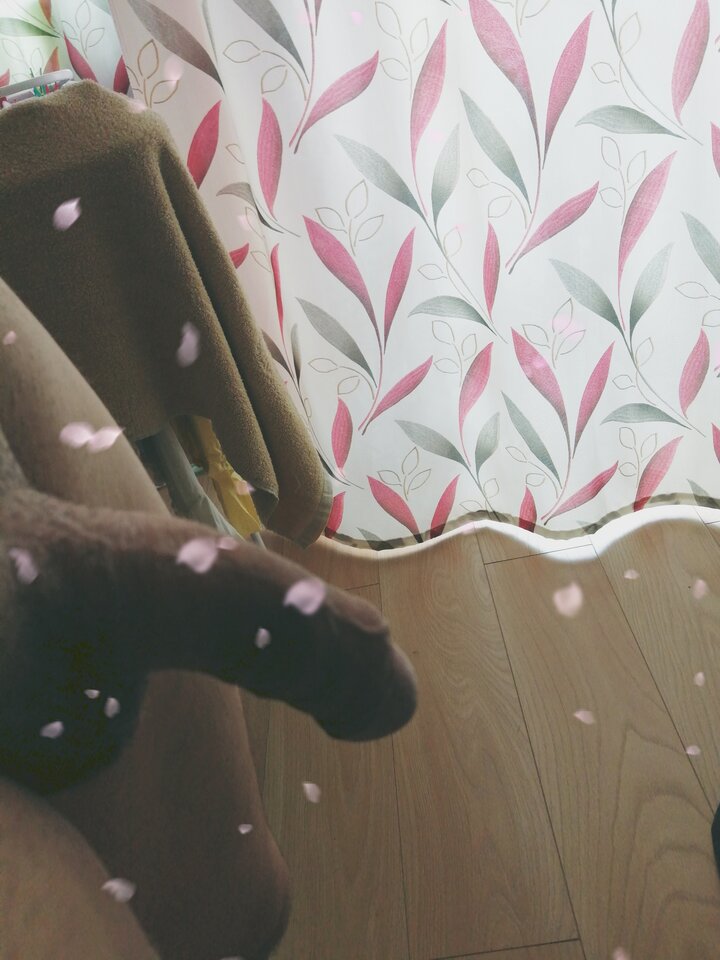 IMG_20200807_094936.jpg - Parka3031