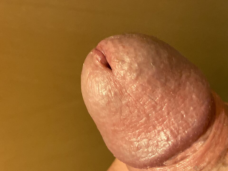 image.jpg - lordnorbi