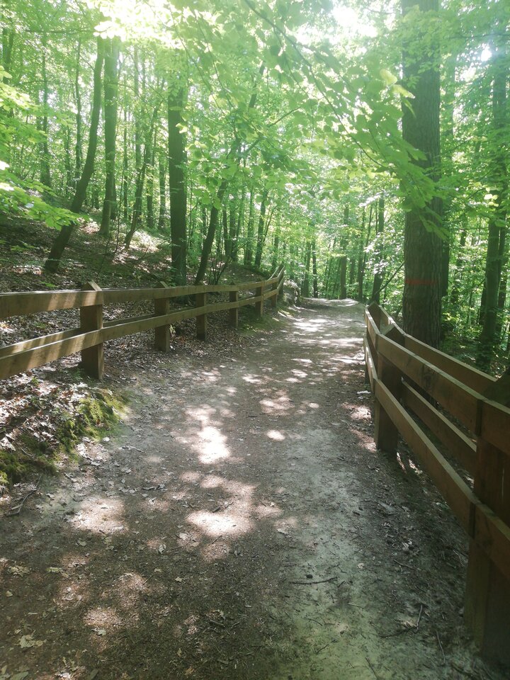 159680466418841778536792329816.jpg - Sexol92