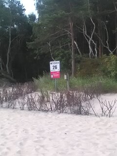 IMG_20200808_094934.jpg