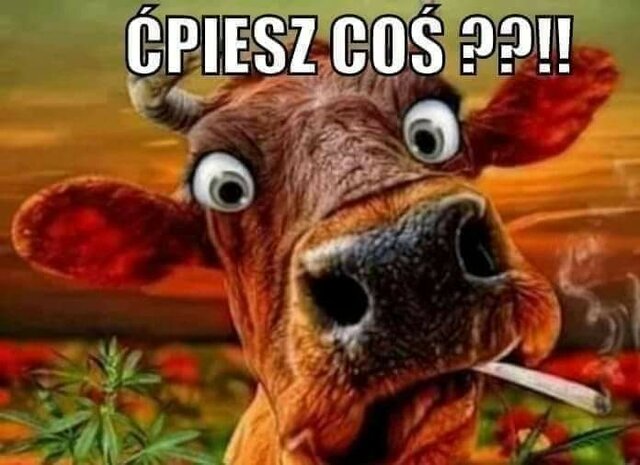 FB_IMG_1596877567686.jpg - Golabek1234