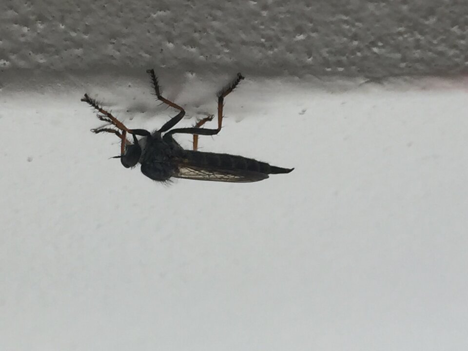 A49C7E50-AC0A-4F54-9A33-C6B118CCB8C8.jpeg - lek725