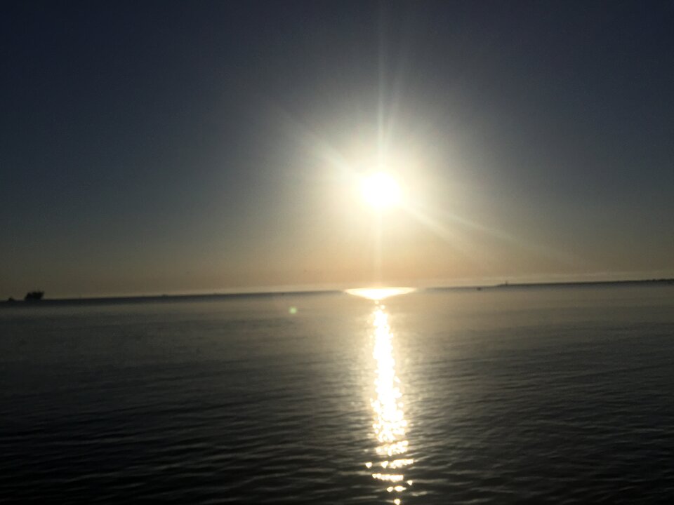 DE8D72B0-4963-493C-AC63-A0B45D260BEC.jpeg - lek725