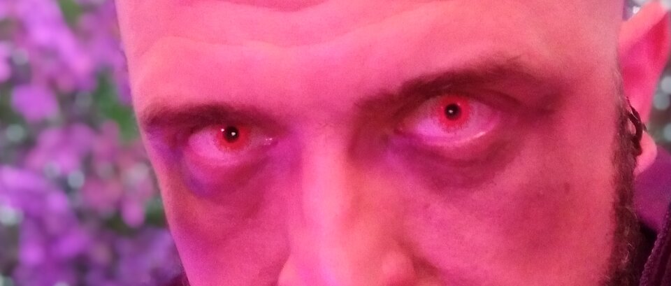 Diablo.jpg - Zedmefree