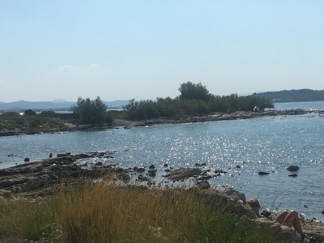 80BDE331-4298-4F98-BC6A-9BA88E50BA4B.jpeg - Up_And_Down