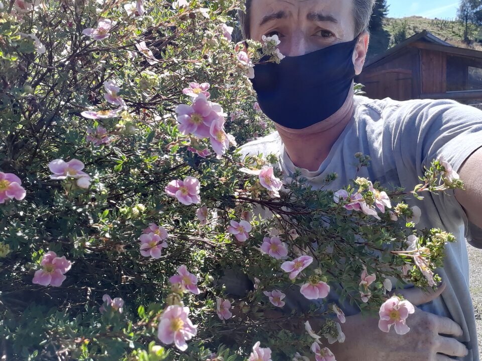 15969772453885482600846506227755.jpg - Palciusia