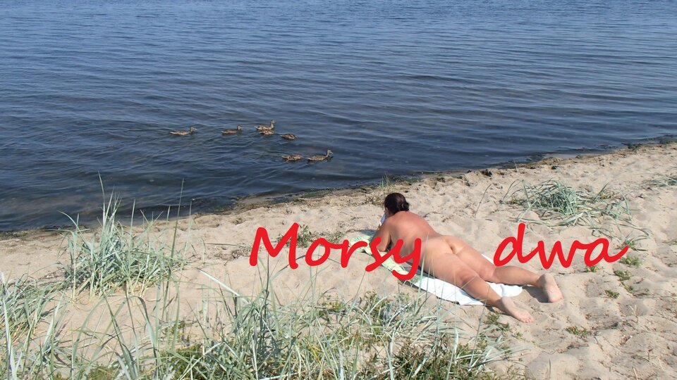 Morsica i kaczuszki. - Morsy_dwa