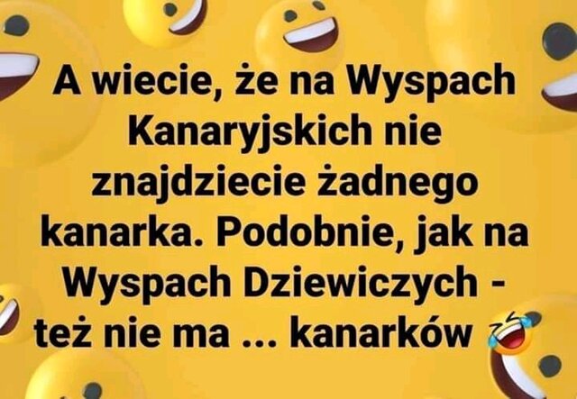wielbiciel_piekna