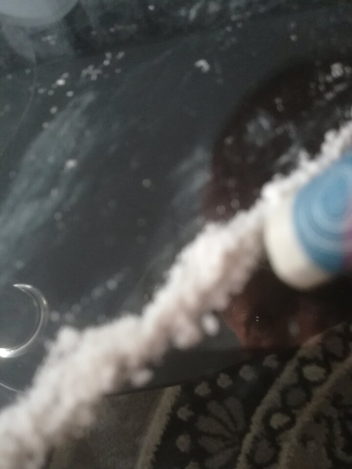 IMG_20200810_184330.jpg - GrzegorzEs