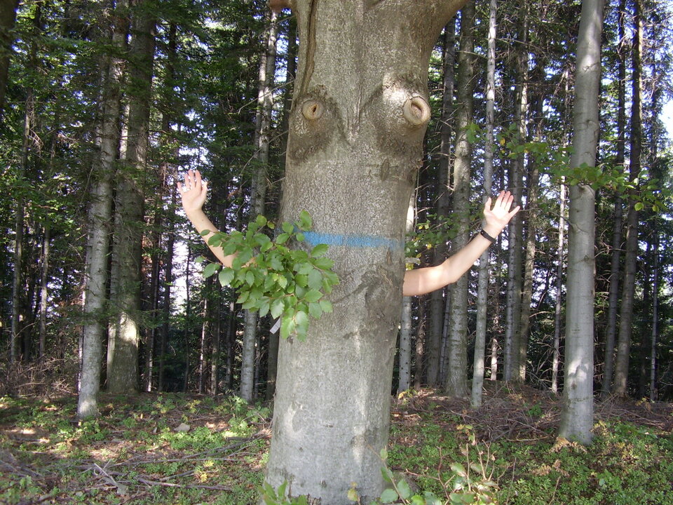 STA43327.JPG - koneser55