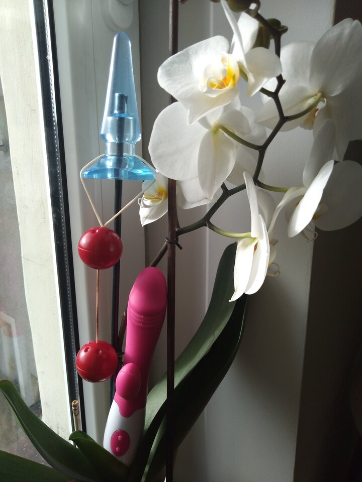 IMG_20200512_074338.jpg - mevia