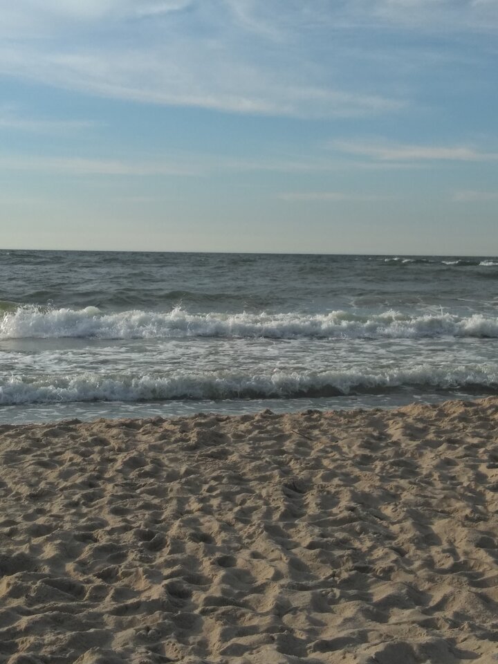 IMG_20200624_193216.jpg - kudlaty42