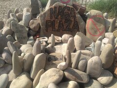 IMG_20200811_095625976.jpg