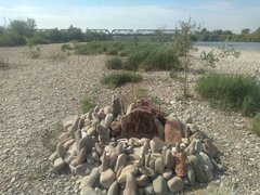 IMG_20200811_095728153.jpg