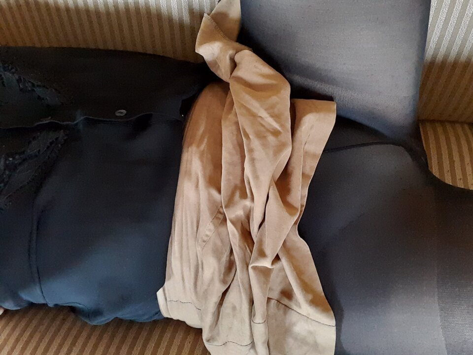 15971705690341541133900559201056.jpg - Palciusia