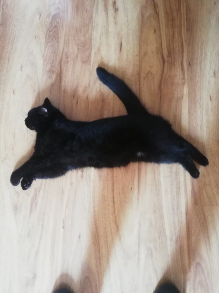 IMG_20200809_130314.jpg - reserva1