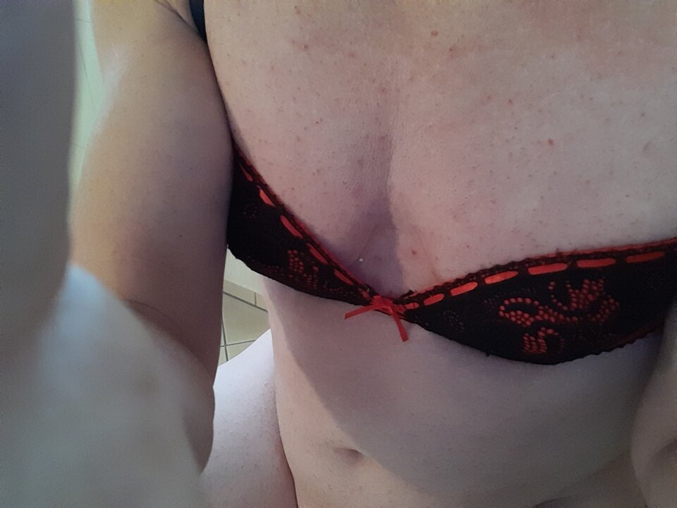 15972048852951554758233887067987.jpg - Palciusia