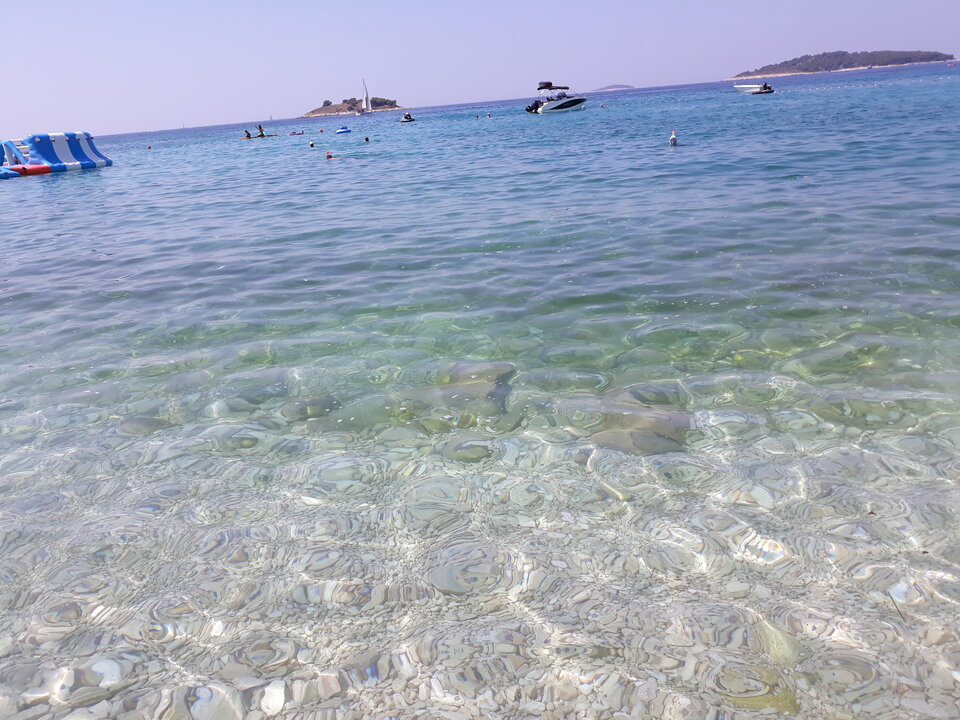 20200811_125632.jpg - lolek7x