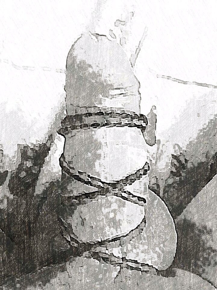 JPG_1597213908572.jpg - dino8