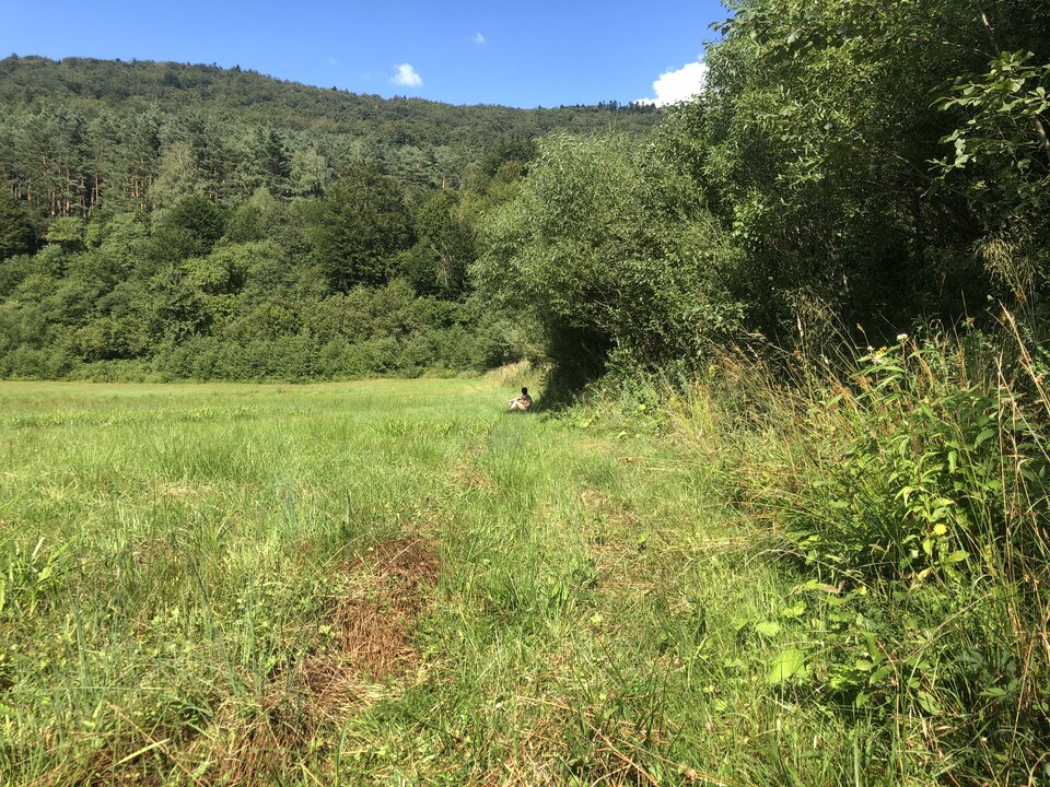 1629FE72-C099-45E9-BD89-C923F718E790.jpeg - lovinglovers