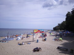 IMG_20200805_132323.jpg