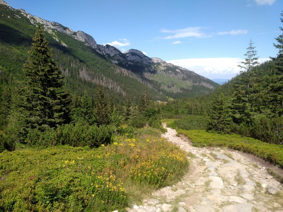 IMG_20200811_142157.jpg - szukamNIEDEPILOWANEJ