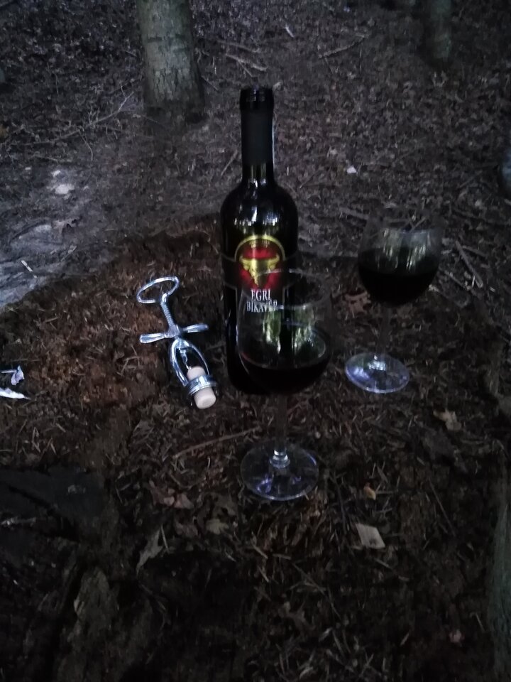 IMG_20200812_192419.jpg - demon13