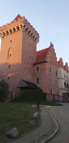 20200812_195931.jpg