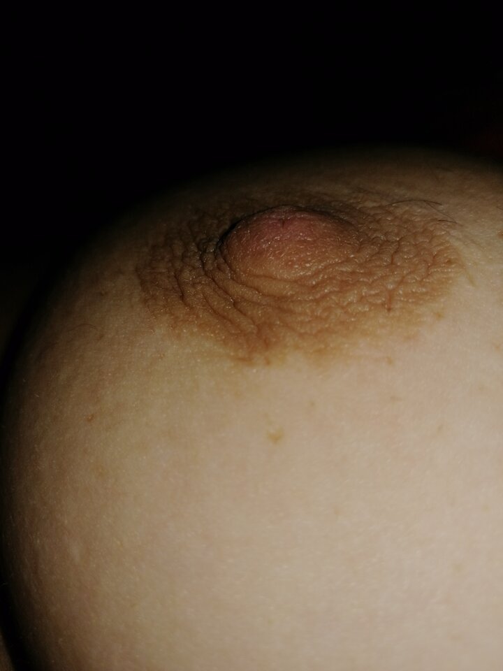 IMG_20200812_231204.jpg - Cichymisiek