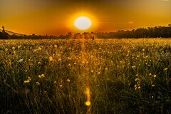 Gdy słońce zachodzi