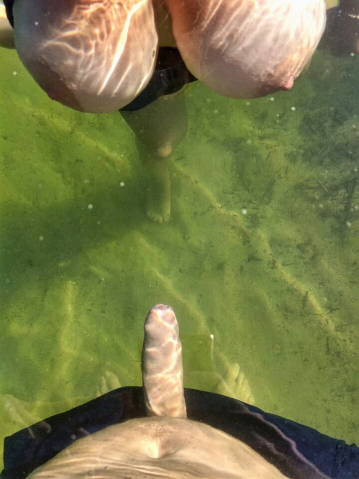 polskie_jeziora - artbrut69