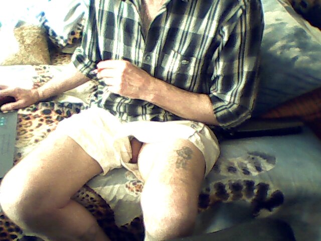 Snapshot000001.jpg - gajus