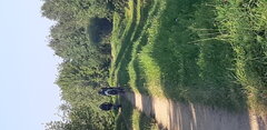 20200812_180828.jpg