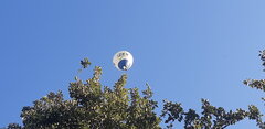 20200812_185628.jpg