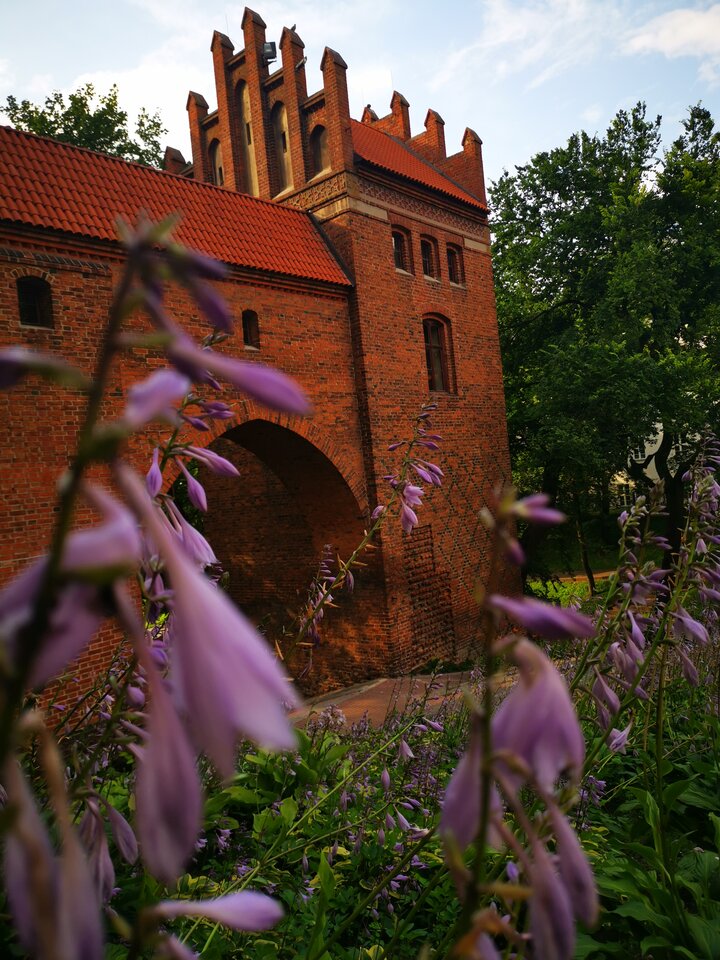 IMG_20200717_174719.jpg - telefan