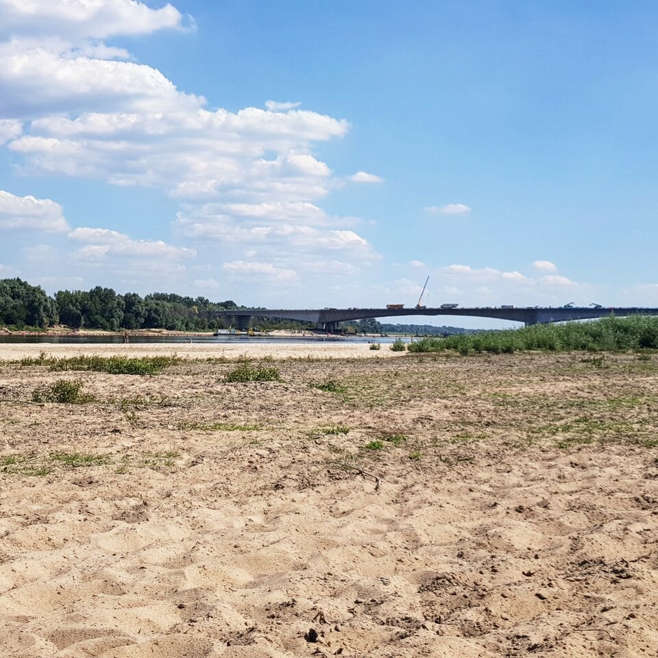 IMG_20200813_160010_849.jpg - radosnydic