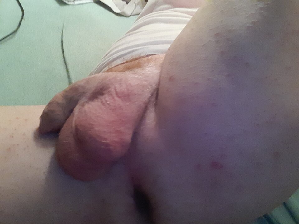 15973511825021261723974344113914.jpg - Palciusia