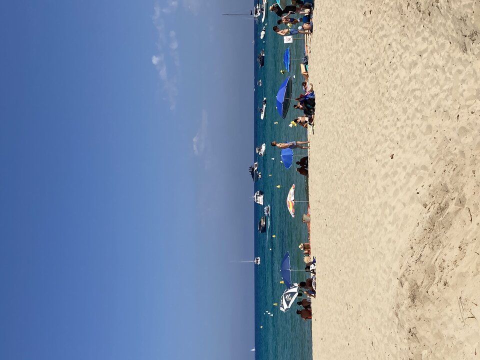 67F79E99-F8EC-4367-8F72-6B7AC6176E19.jpeg - Karwowskirafal123456