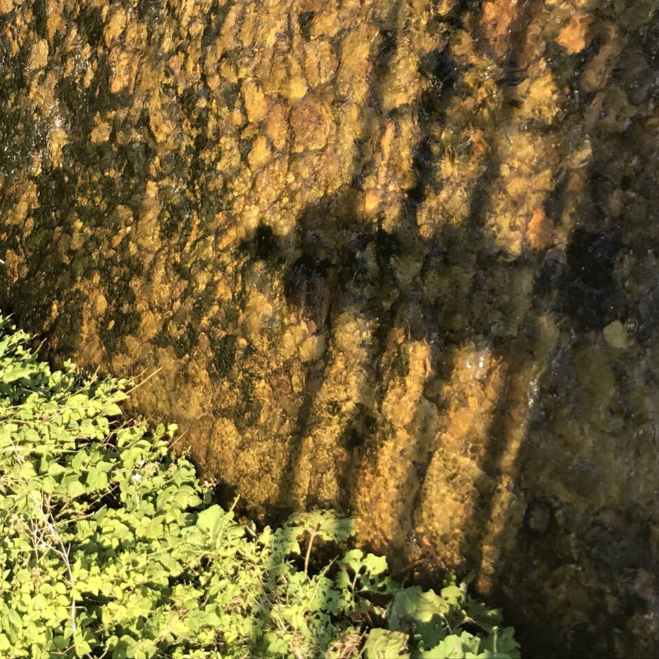 C340BFB4-C3B1-4C9E-8363-1BA5EEDCCB4A.jpeg - Mekagojiranogyakushu