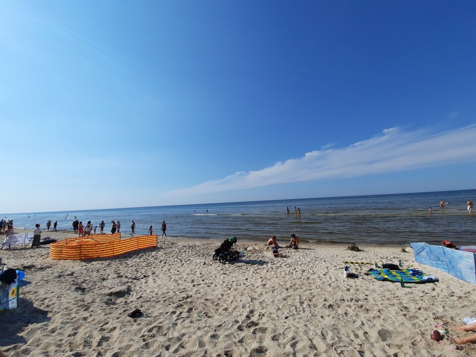 20200814_154221.jpg - Robertoo19899