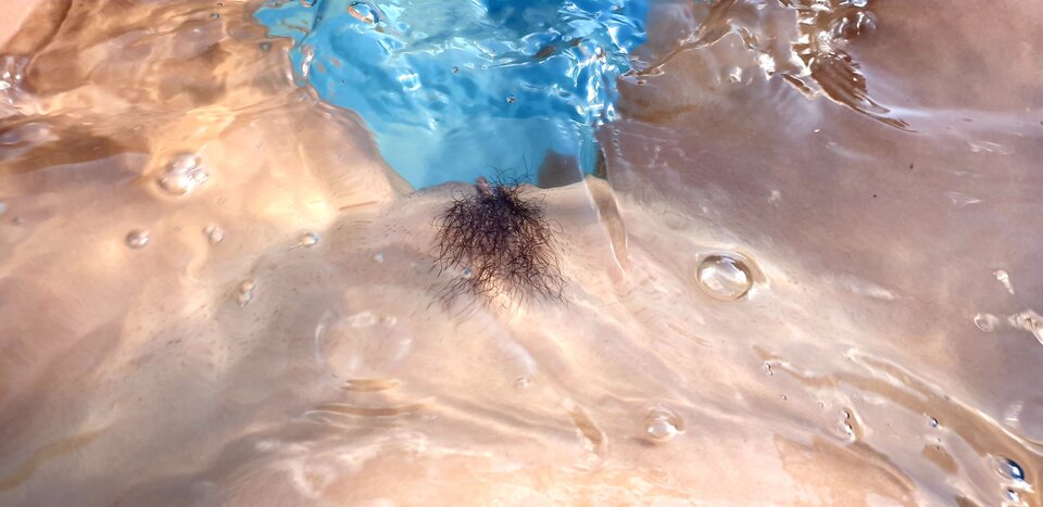 20200814_205801.jpg - MBSL