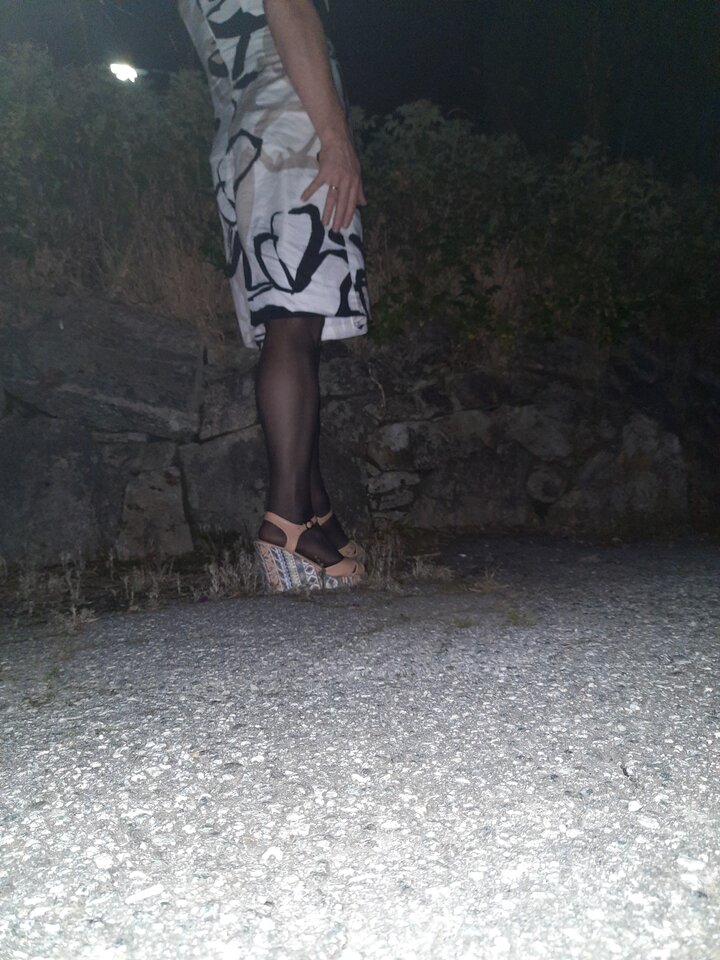 15974402112457142119415649080455.jpg - Palciusia