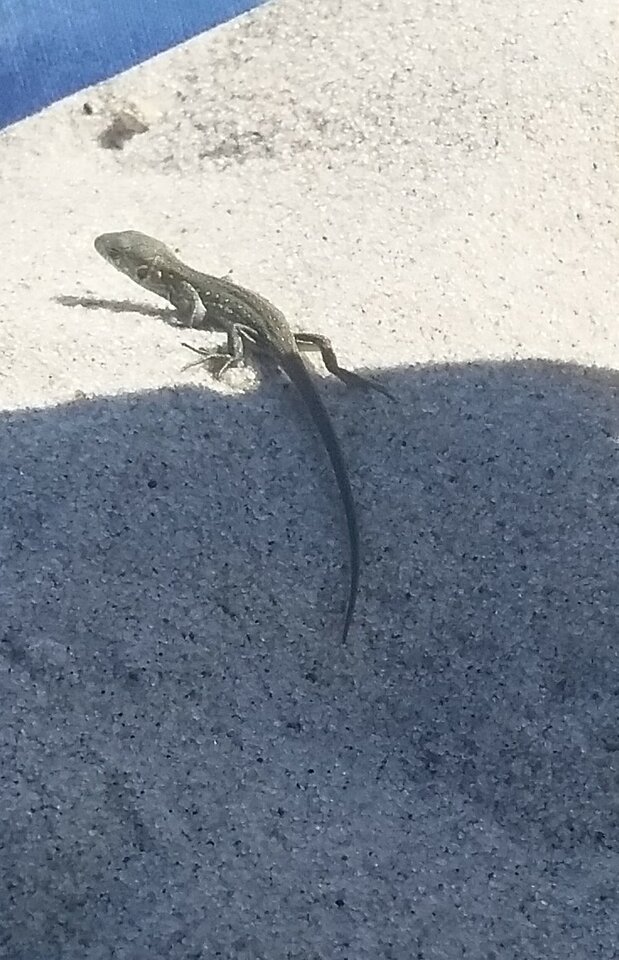 15.08.2020 - parkawarmia