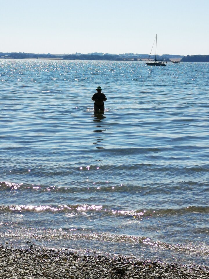 IMG_20200815_131413.jpg - Voresfraekkeliv