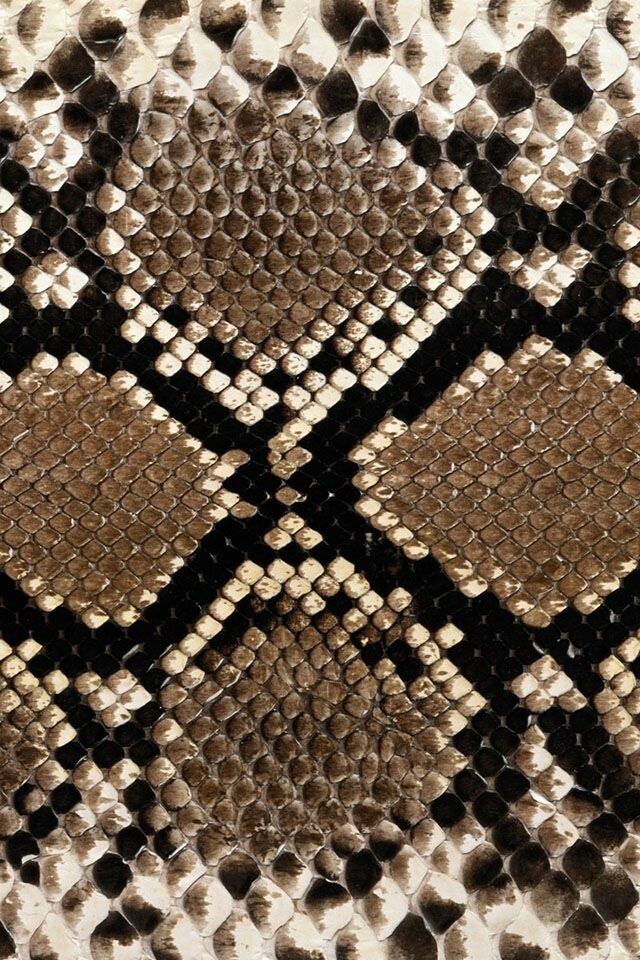 1ae67601e9a44cfb0c00dcb702410039.jpg - KAPLICA1