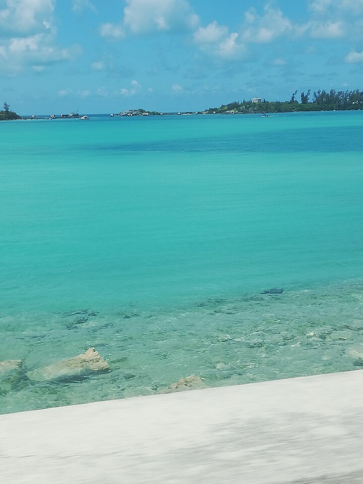 IMG_20200815_132500.jpg - pogodynkaxyz