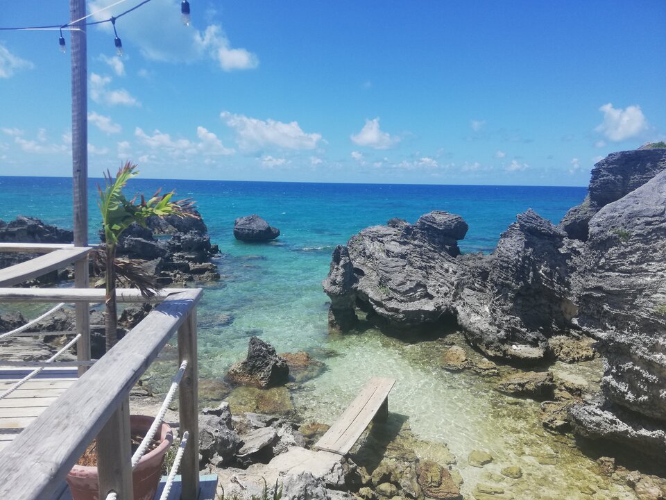 IMG_20200815_140241.jpg - pogodynkaxyz