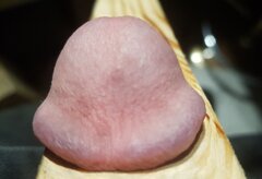 Zagrzybiała deska :D